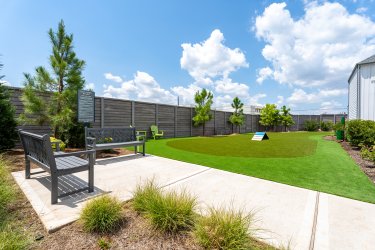 Pet Park 1